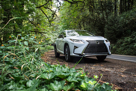 Editorial 2016 lexus rx 350 f sport bm 01