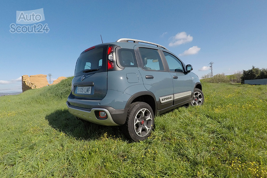 foto culo 3 panda 4x4.JPG
