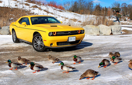 Editorial 2018 dodge challenger gt awd 06 pb