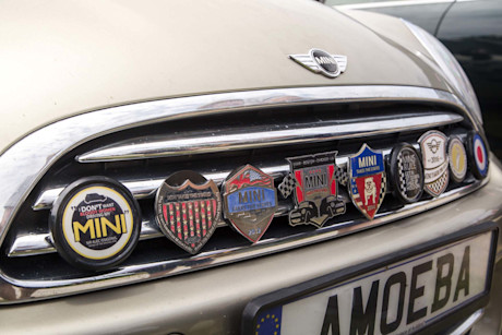 Editorial 06 mini takes the states 2016