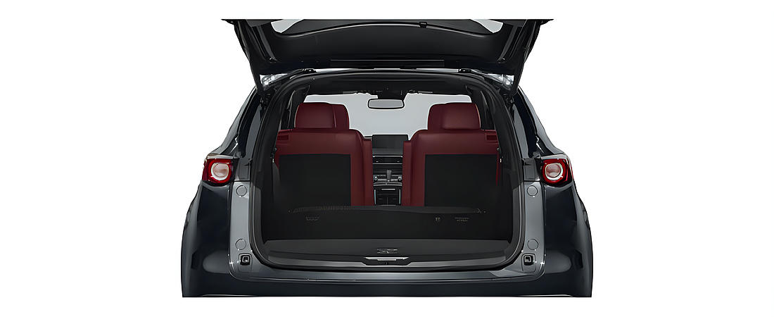 Mazda CX-9 2023 50