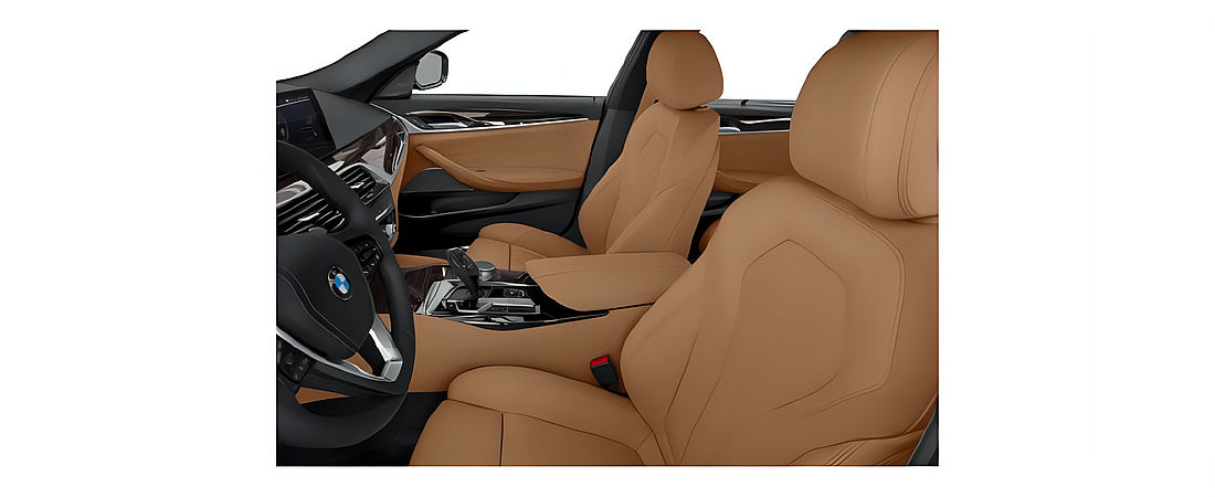 BMW 5 Series 2021 8