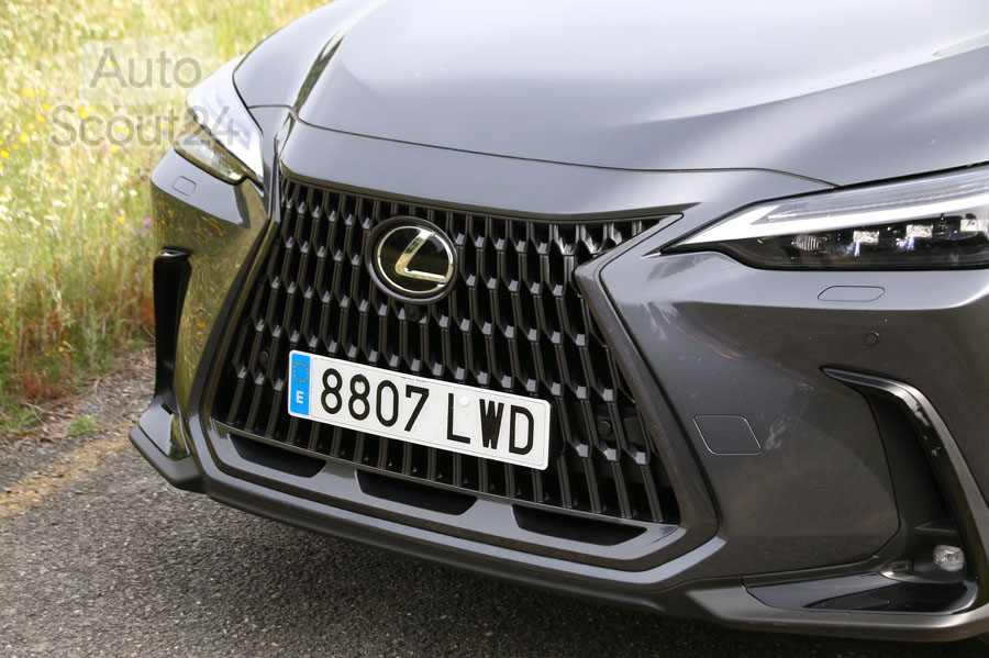 lexus-nx-350h (3).JPG