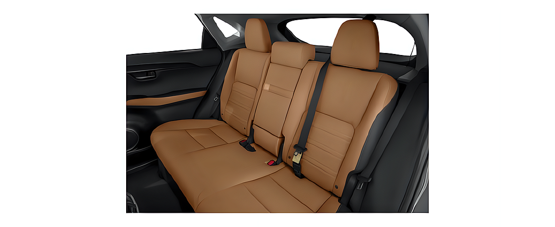 Lexus NX 2021 12