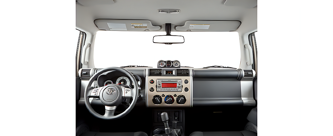 Toyota FJ Cruiser 2010 7