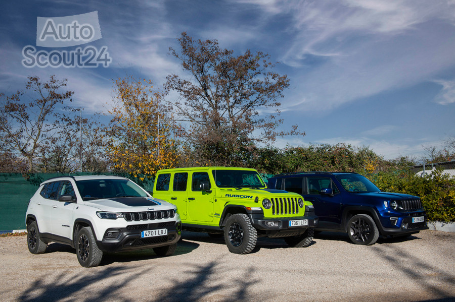 gama_jeep_4Xe_011.jpg