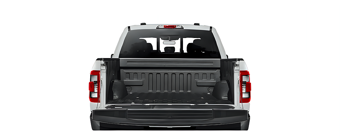 Ford F-150 2021 82