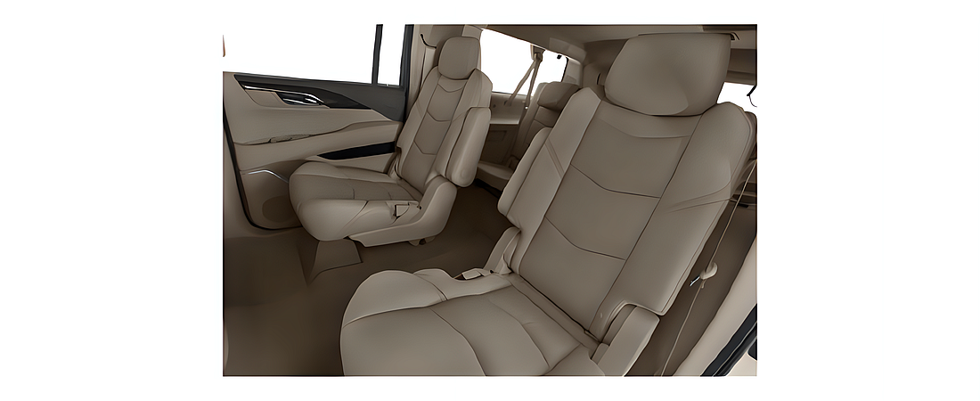 Cadillac Escalade ESV 2019 12