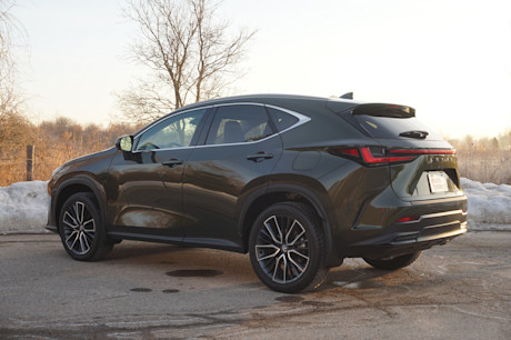 Editorial 2025 lexus nx 350h td jl 250507 18