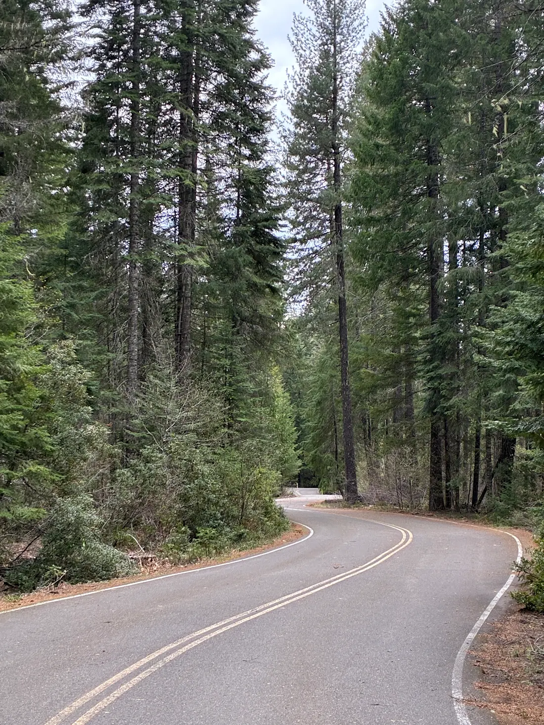 No traffic still No traffic still