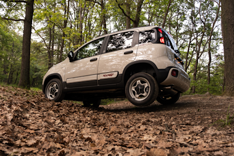 panda 4x4 anniversario 2023 05