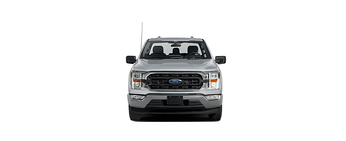 Ford F-150 2021 13