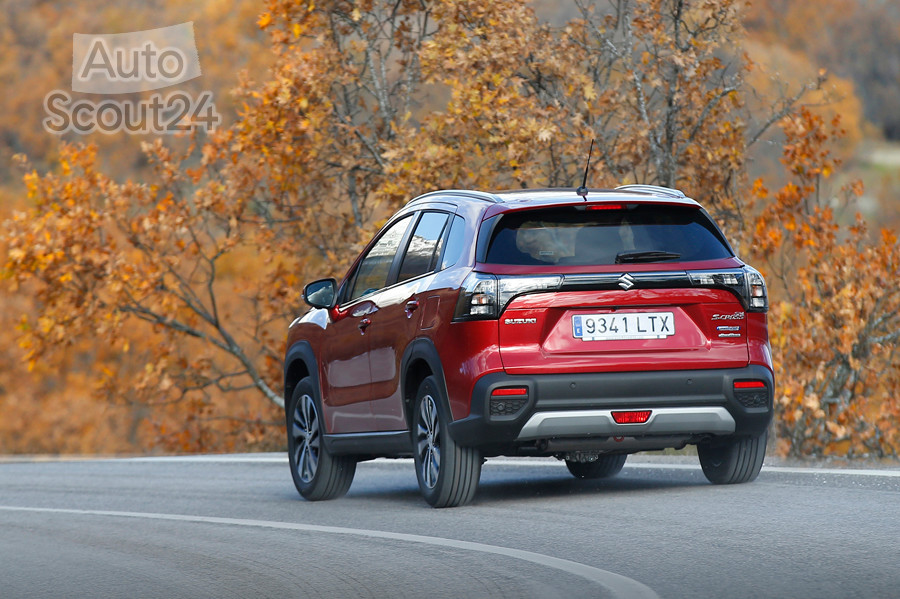 Suzuki Sunshine Tour 2022 (3).jpg