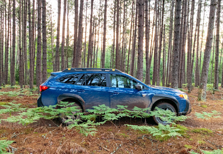 Editorial 2022 subaru outback wilderness 11 mg