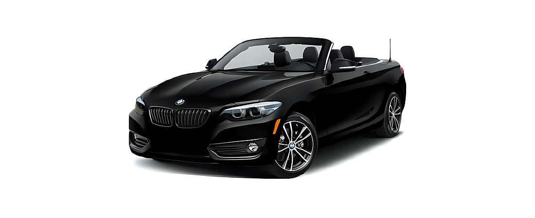 BMW 2 Series 2020 1