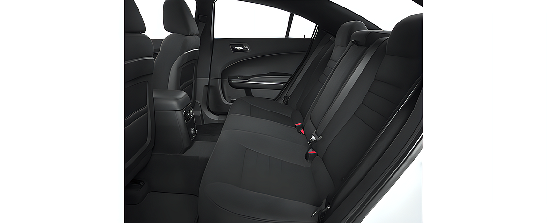 Dodge Charger 2013 30