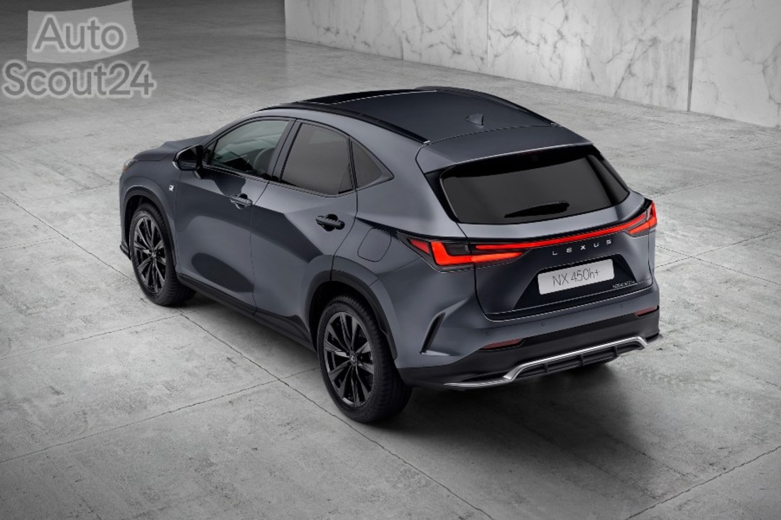 11 NX 450h+ (1).jpg