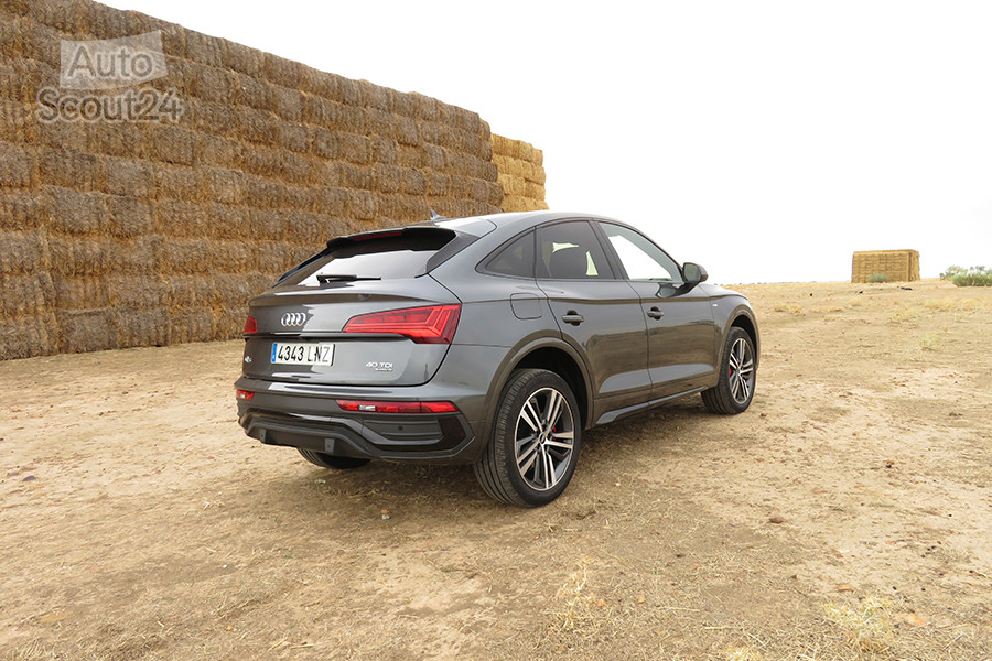 FT_5_audi_q5_SB_40TDI_culo_2.JPG