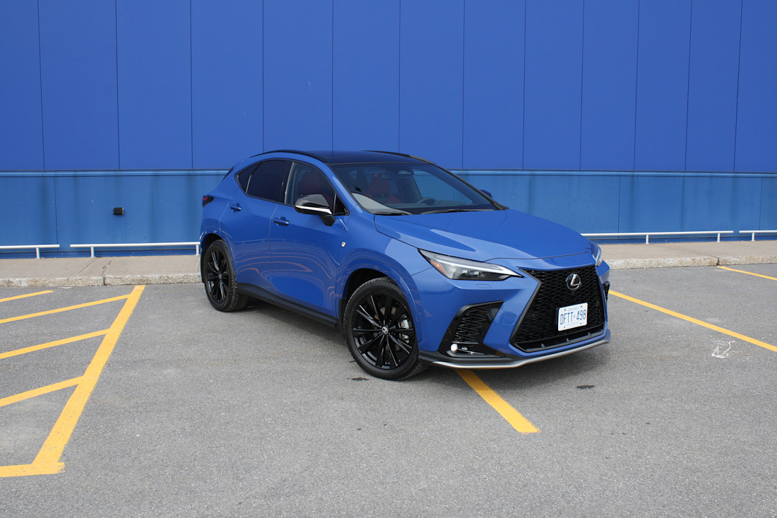 2026 Lexus NX350h - TD - DB - 260603 - 2.jpg