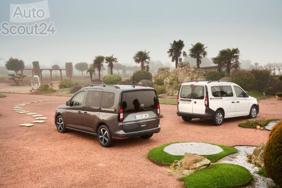 Gama Caddy (2) (1).jpg