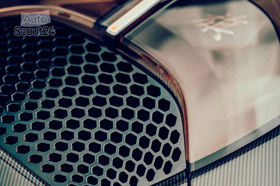 Hongqi S9 2021 (27).jpg