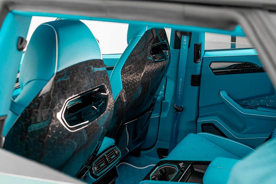 mansory_venatus_coupe_20.jpg
