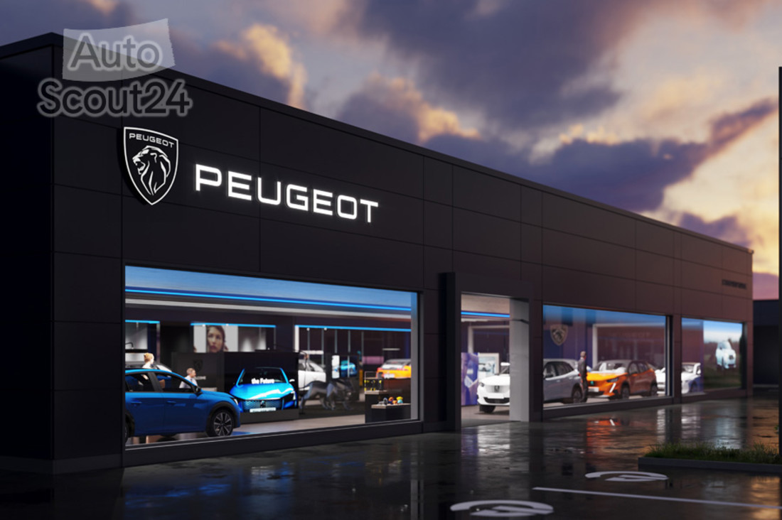 PEUGEOT_PR_DEALERNIGHT.jpg