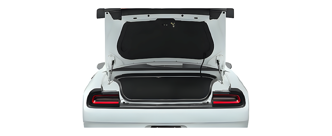 Dodge Challenger 2020 36