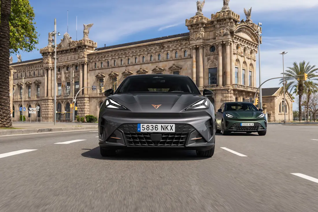 cupra raval 33