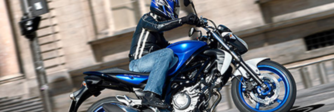 Test: Suzuki Gladius 650 – Kompaktkracher