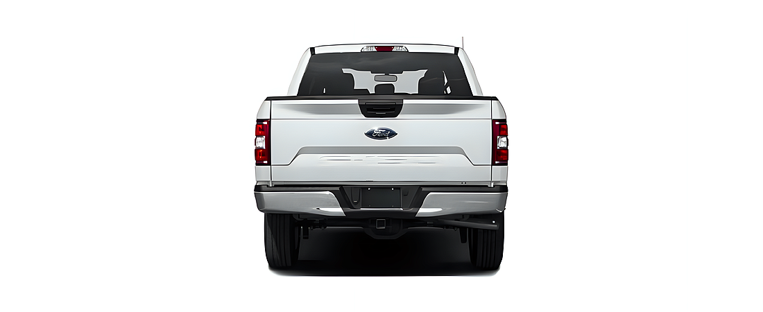 Ford F-150 2019 31