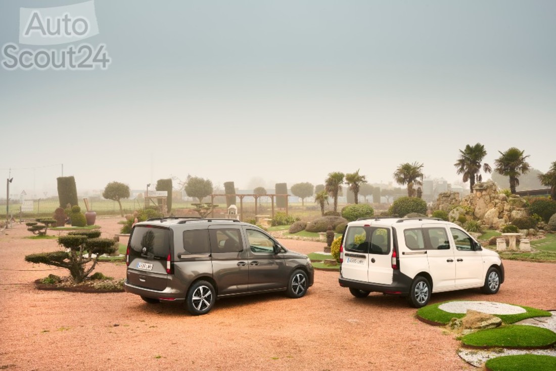 Gama Caddy (1) (1).jpg