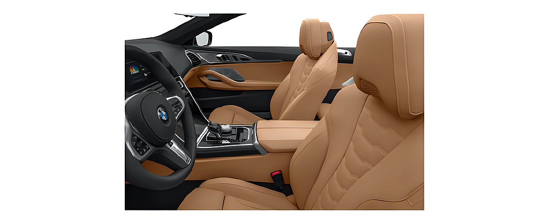 BMW 8 Series 2019 12