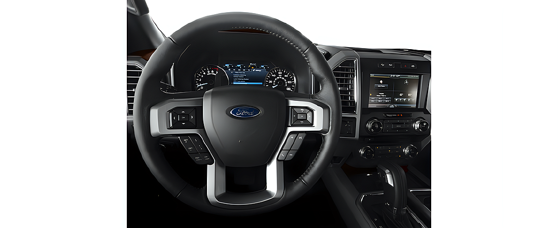 Ford F-150 2017 167