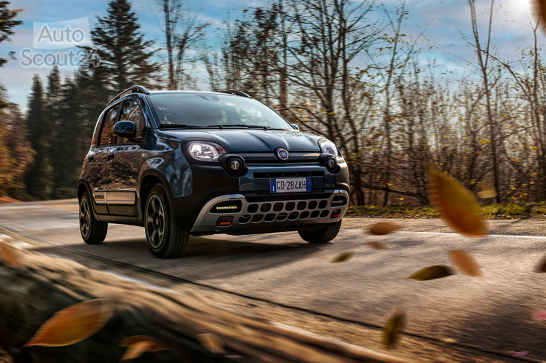 foto apertura panda 4x4.jpg