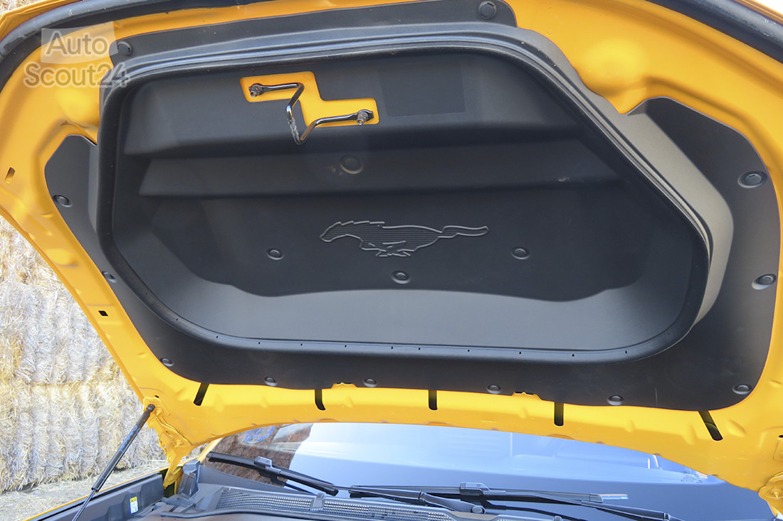 28_Ford Mustang Mach-e GT_capó interior.JPG