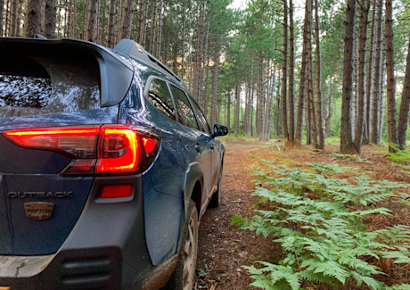 Editorial 2022 subaru outback wilderness 19 mg