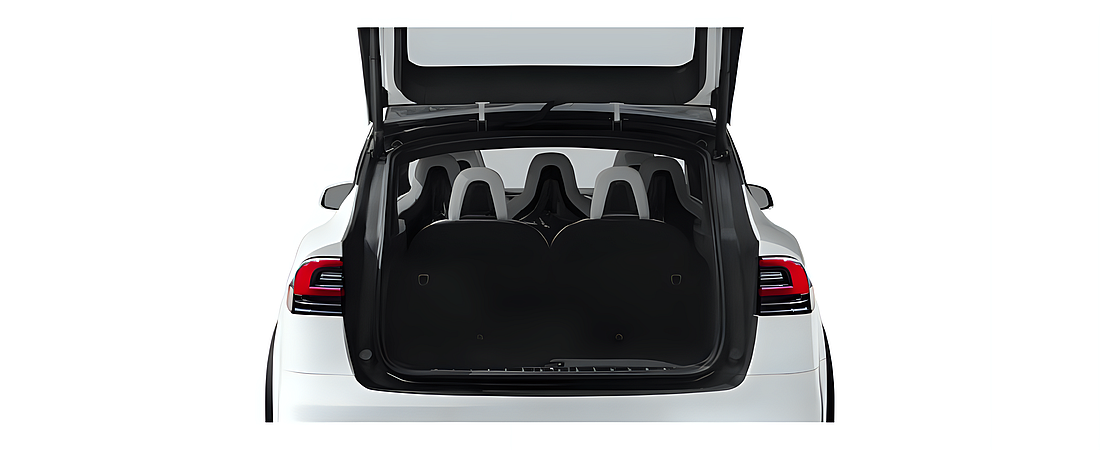 Tesla Model X 2020 26