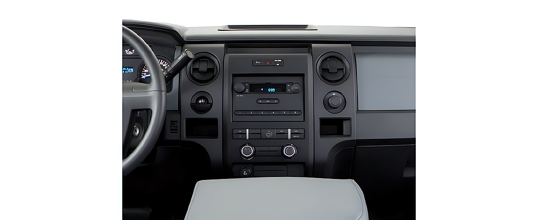 Ford F-150 2010 18