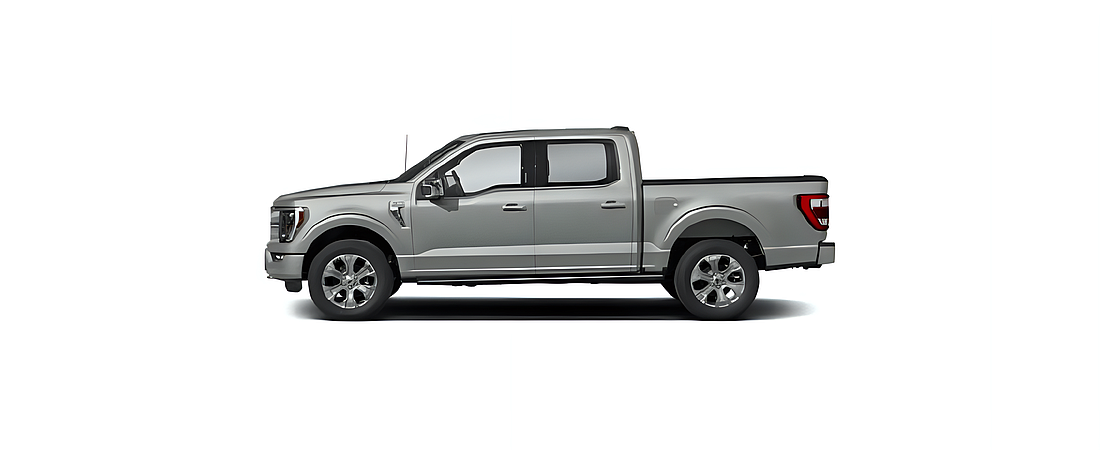 Ford F-150 2023 113