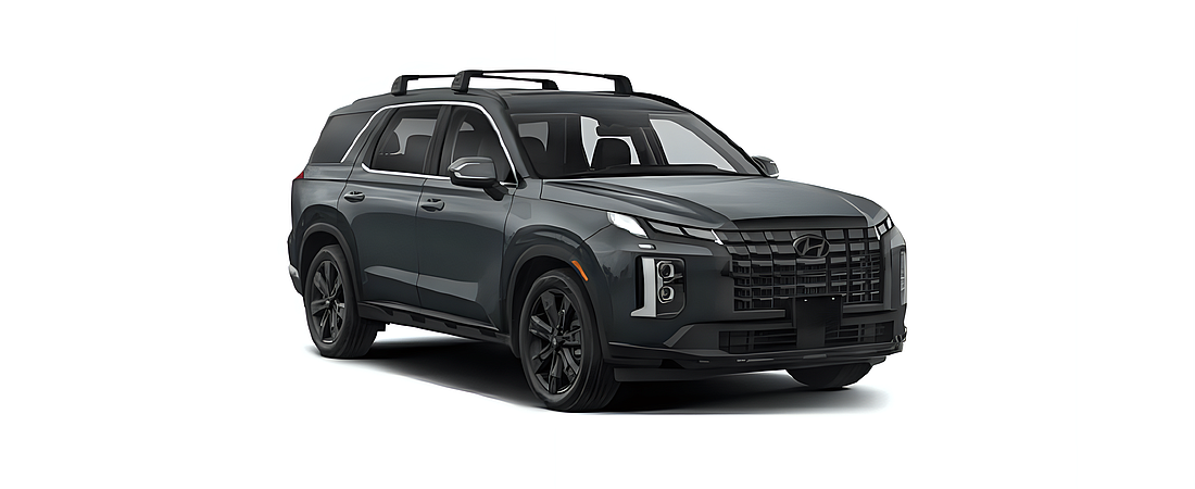 Hyundai Palisade 2024 16