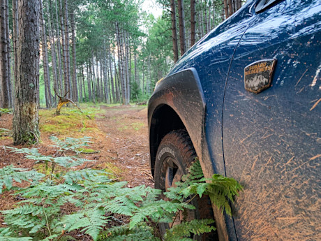 Editorial 2022 subaru outback wilderness 17 mg