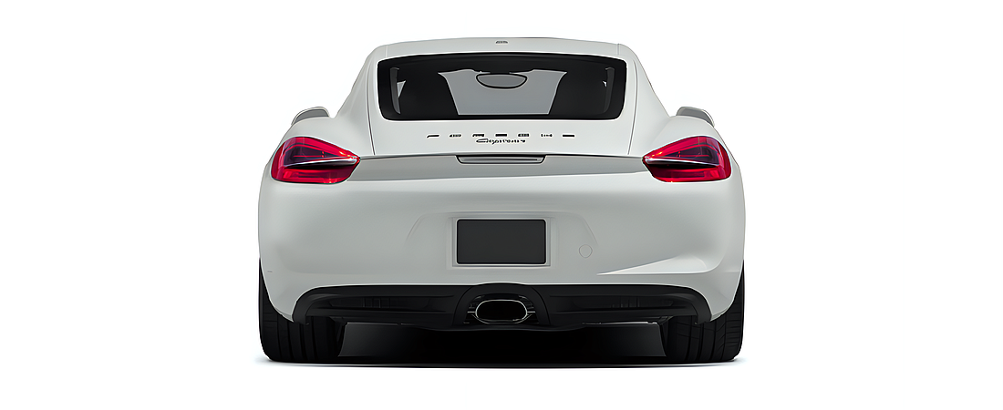 Porsche Cayman 2014 5