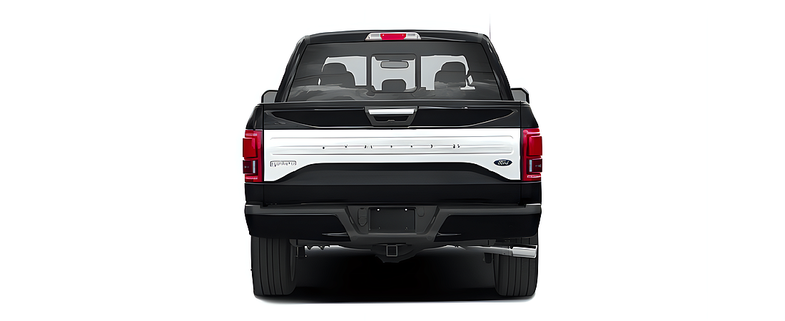 Ford F-150 2017 199