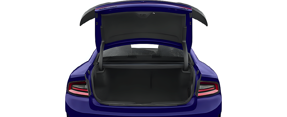 Dodge Charger 2016 59