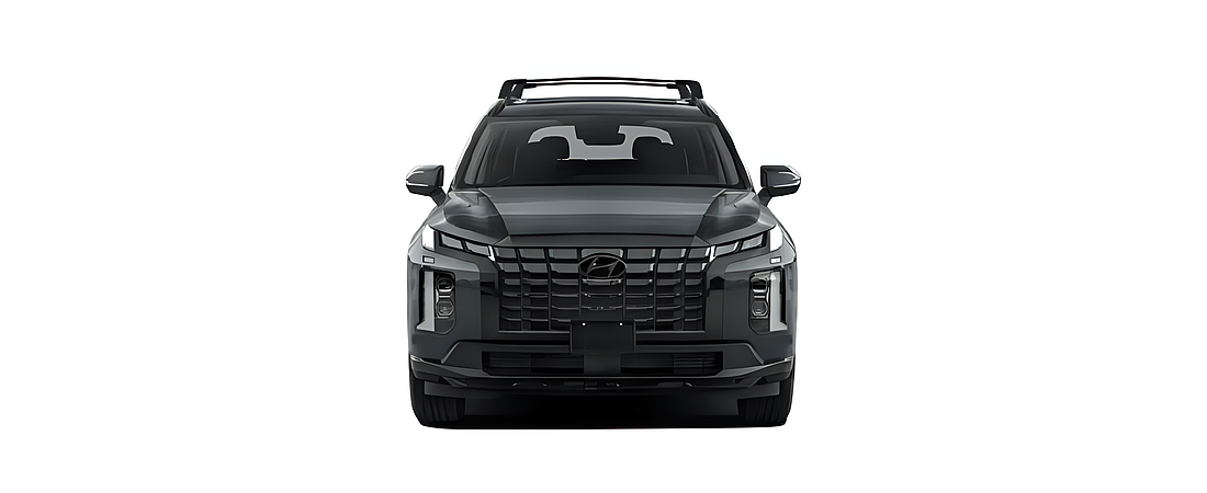 Hyundai Palisade 2024 18