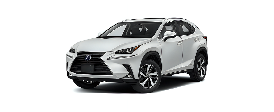 Lexus NX 2021 15