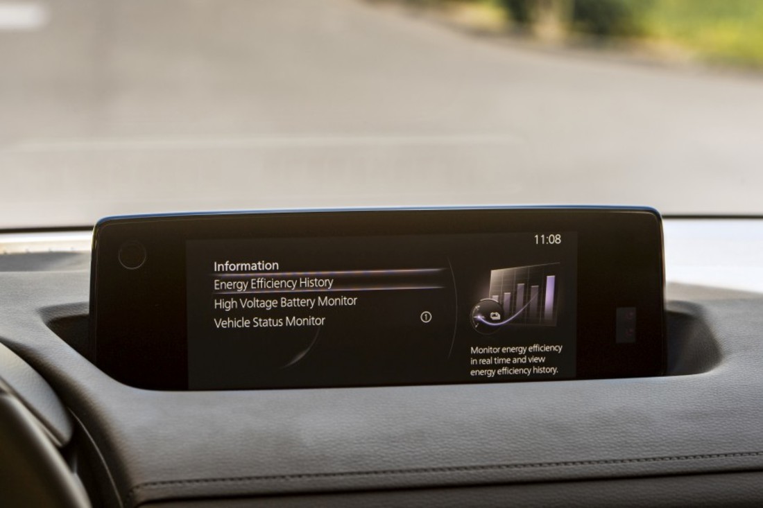 mazda-mx-30 (13).jpg