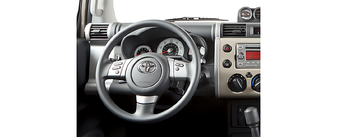 Toyota FJ Cruiser 2010 6