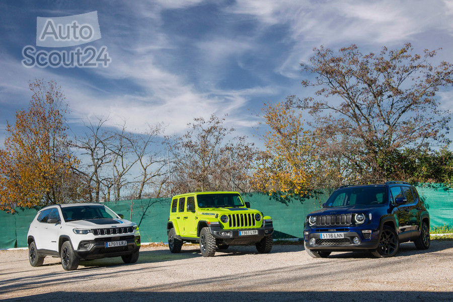 gama_jeep_4Xe_009.jpg